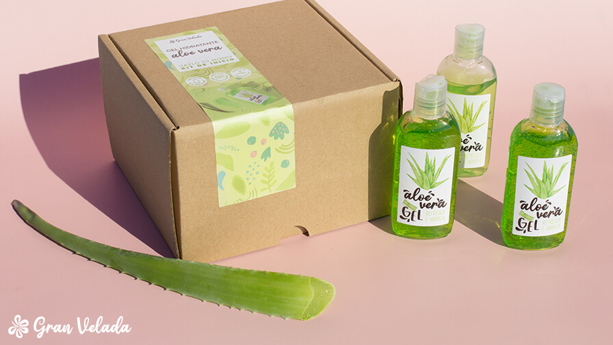 kit como hacer gel hidratante de aloe vera 2