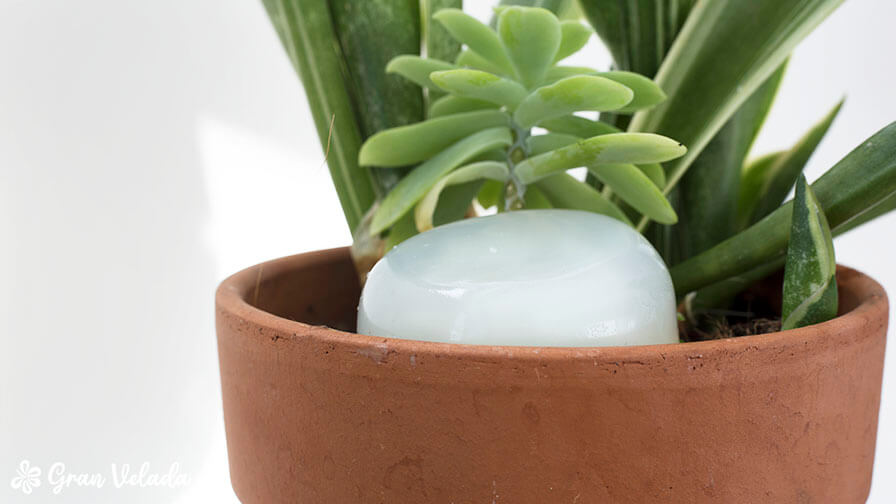 como fazer hidrogel para plantas